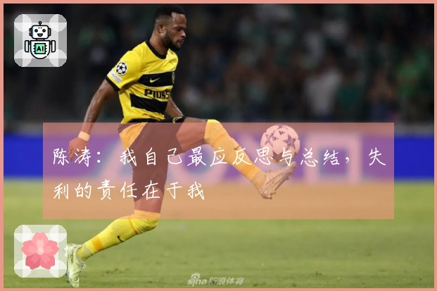 陈涛：我自己最应反思与总结，失利的责任在于我